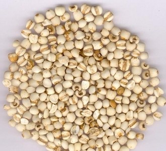 减肥养生：１５种食物 让你越吃越瘦