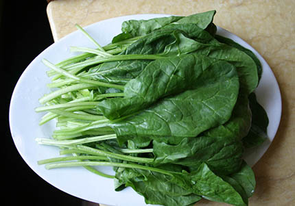 不用纠结卡路里 19种常见食材低卡又营养