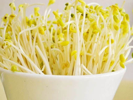 不用纠结卡路里 19种常见食材低卡又营养