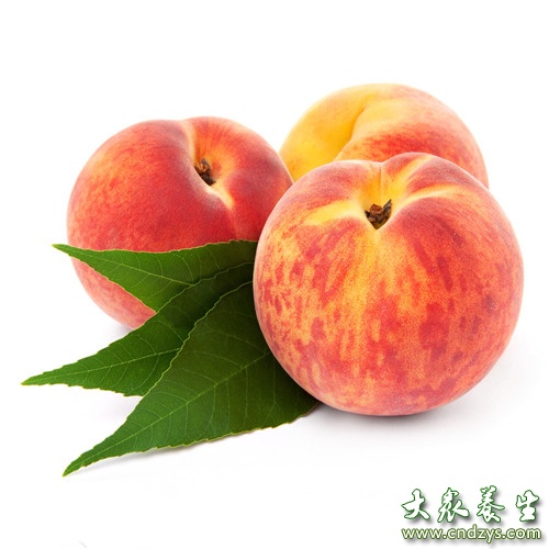 冬瓜白菜 10大蔬果夏季快速减大肚腩