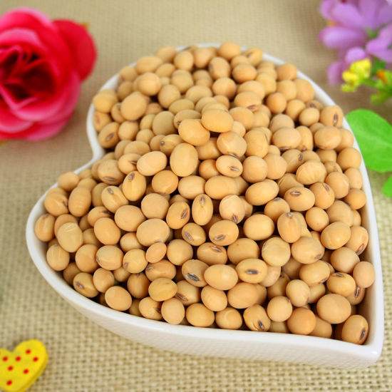 点击图片进入第一页