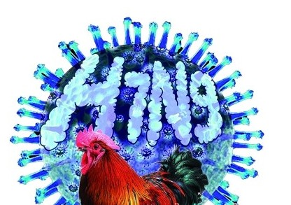 H7N9禽流感