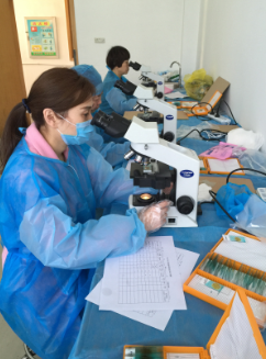 全国第三次人体重点寄生虫病现状调查郑州市调查点工作顺利完成.png