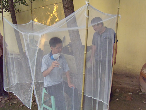 郑州市疾控中心疟疾媒介按蚊调查工作启动