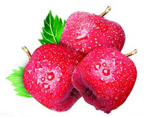 贵妃御药，果中之王——山楂