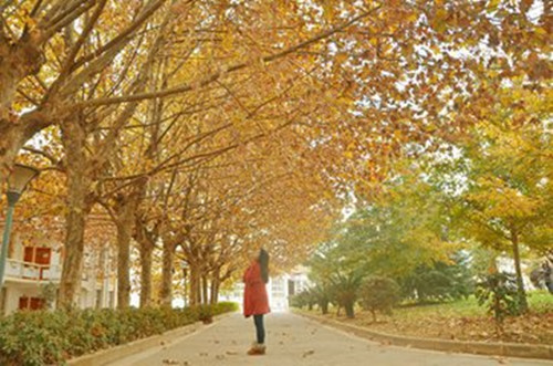 入秋后，换些吃法更健康