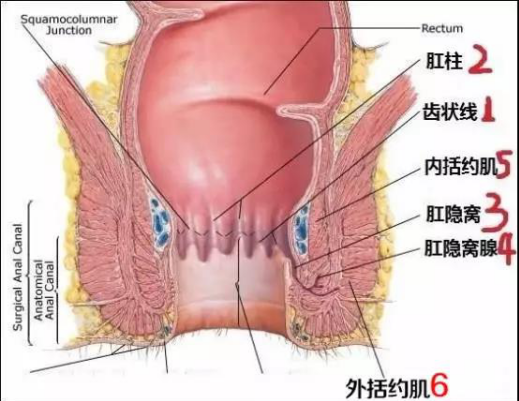 1599184730793619.png image.png