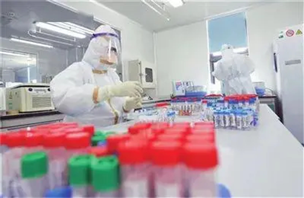 1636190668913049.jpg 3.jpg