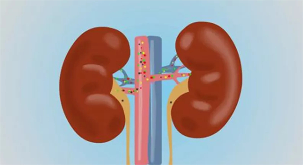 1636192005458950.jpg 2.jpg