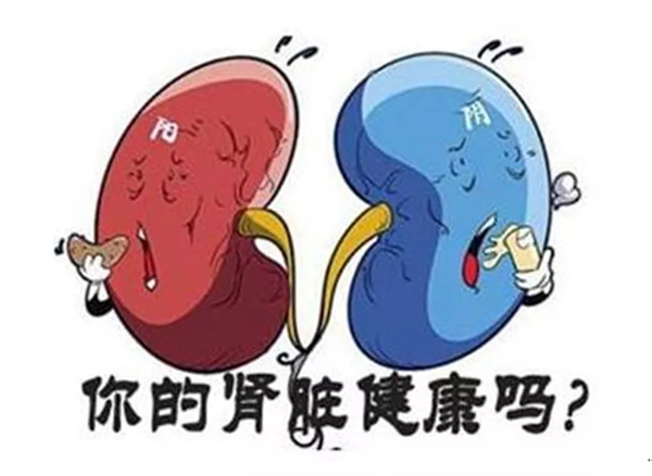 1636192025818823.jpg 4.jpg