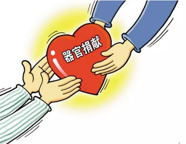 1636192043838267.jpg 6.jpg