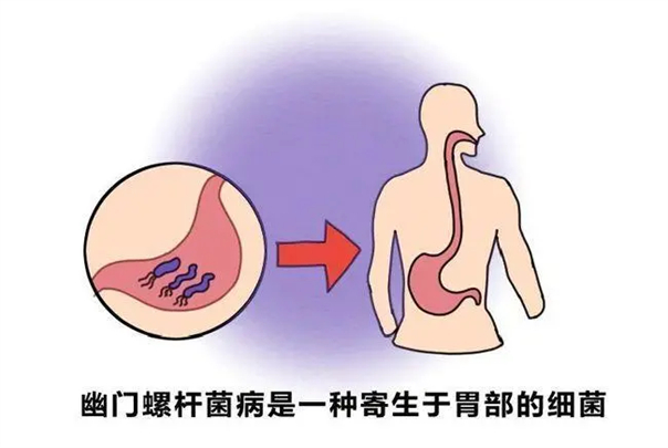 1636449907234337.jpg 2.jpg