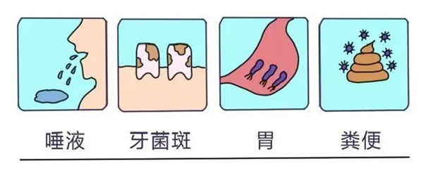 1636449929928328.jpg 3.jpg