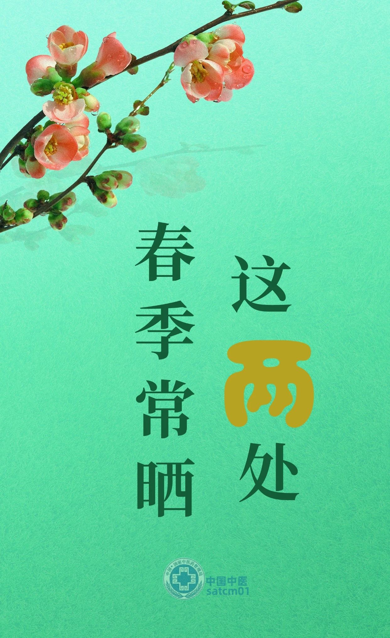 1740451897598795.jpg 1.jpg